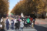 CORRIENDO POR LA PALMA 6